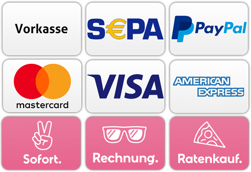Grafik aller Zahlungsarten bei spielturm.kaso24.com: Vorkasse, Klarna, Mastercard, VISA, SEPA oder PayPal